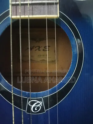 Brand New Guitar