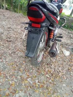 Walton Ranger 2019 Black
