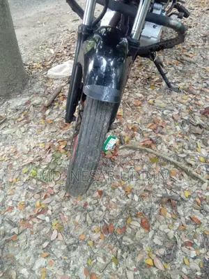 Walton Ranger 2019 Black