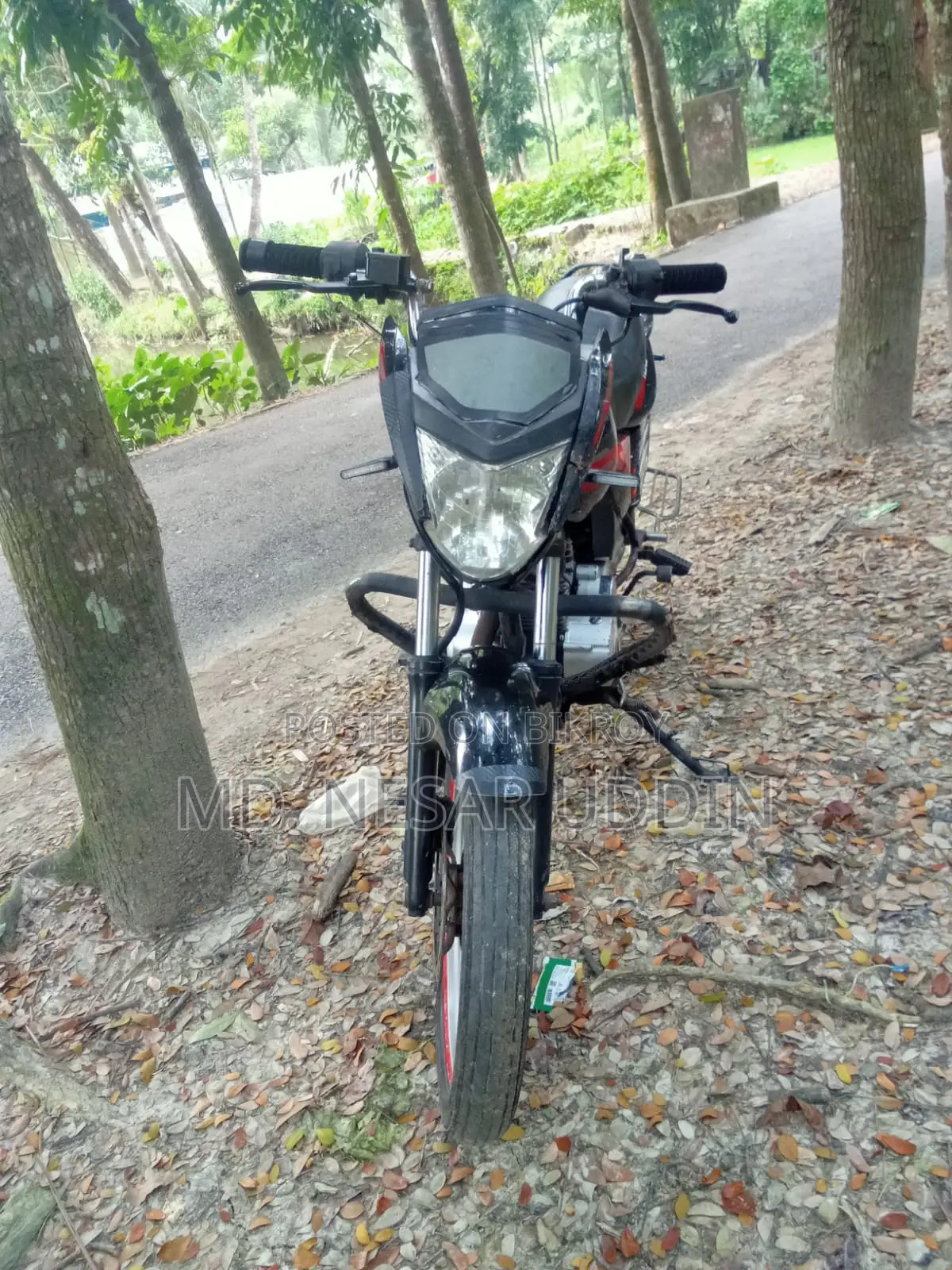 Walton Ranger 2019 Black