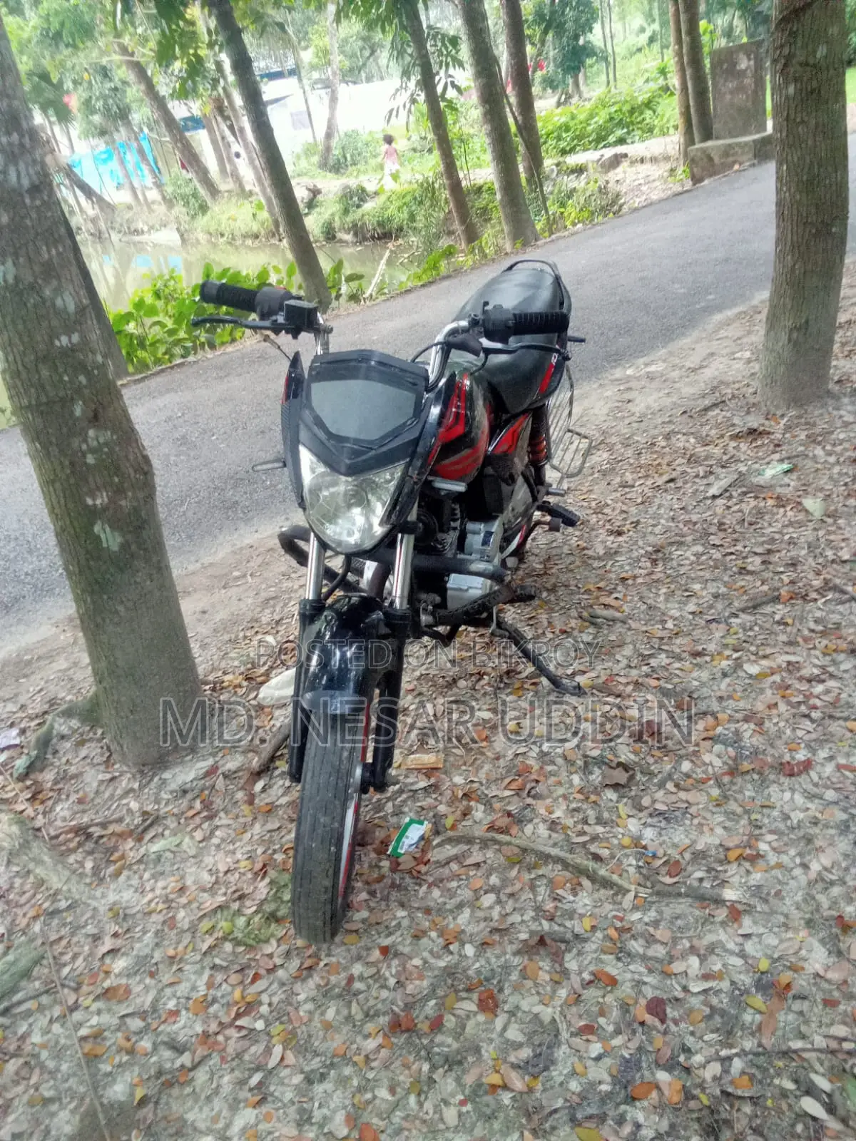 Walton Ranger 2019 Black
