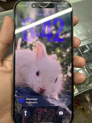 Apple iPhone 15 Pro 256 GB Gray