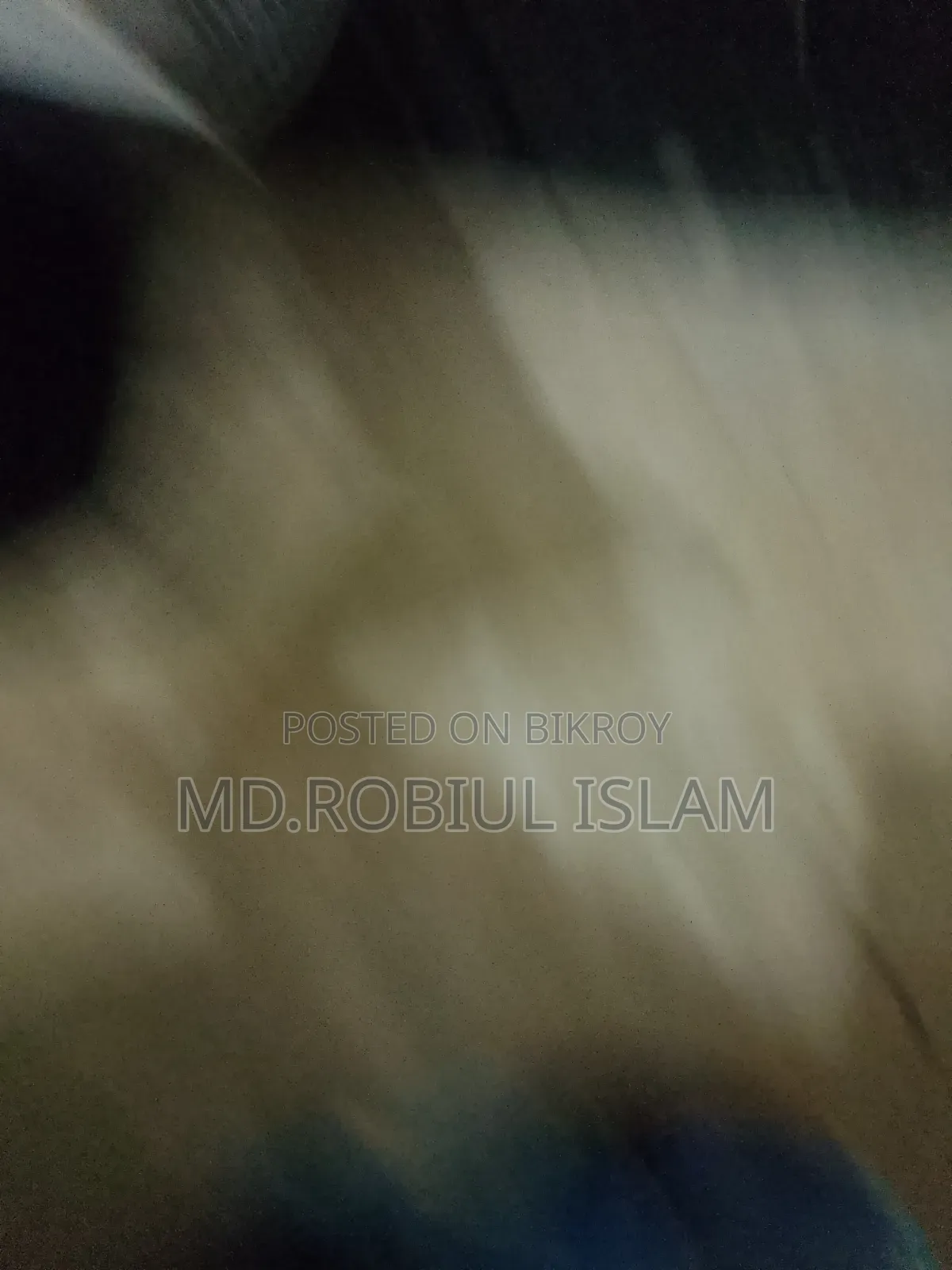 সার্কেল চার্জার ফ্যান