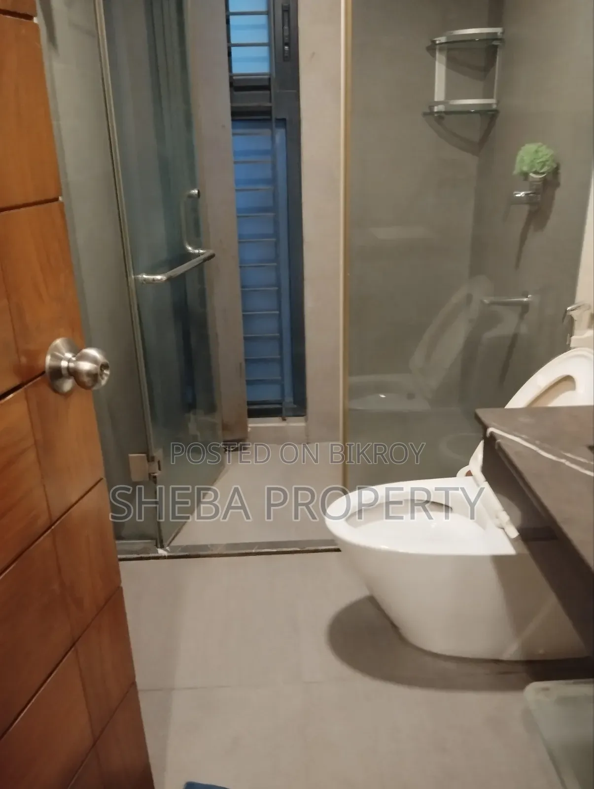 Furnished 4 Bedroom Apartment in Gulshan for rent