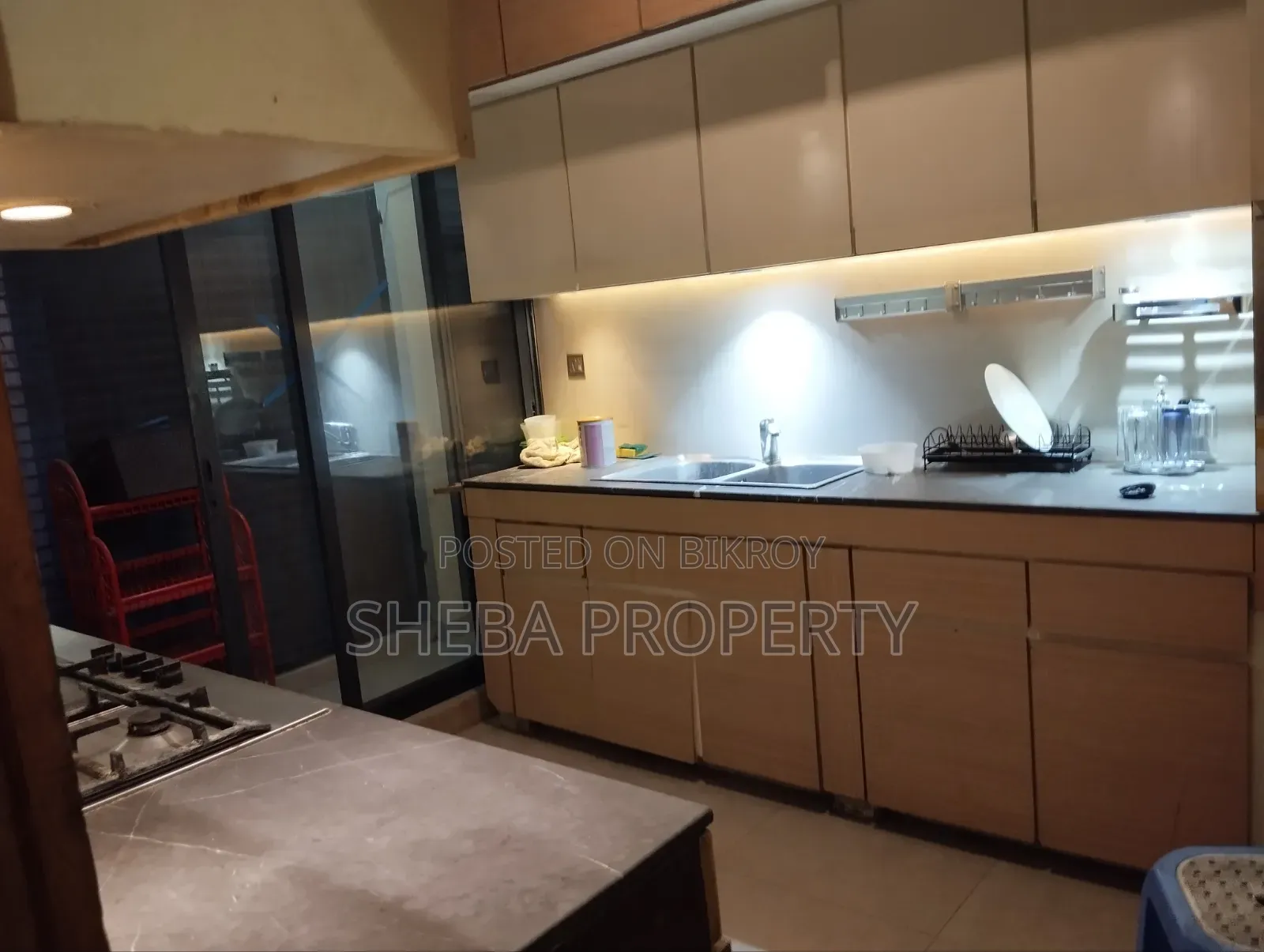 Furnished 4 Bedroom Apartment in Gulshan for rent