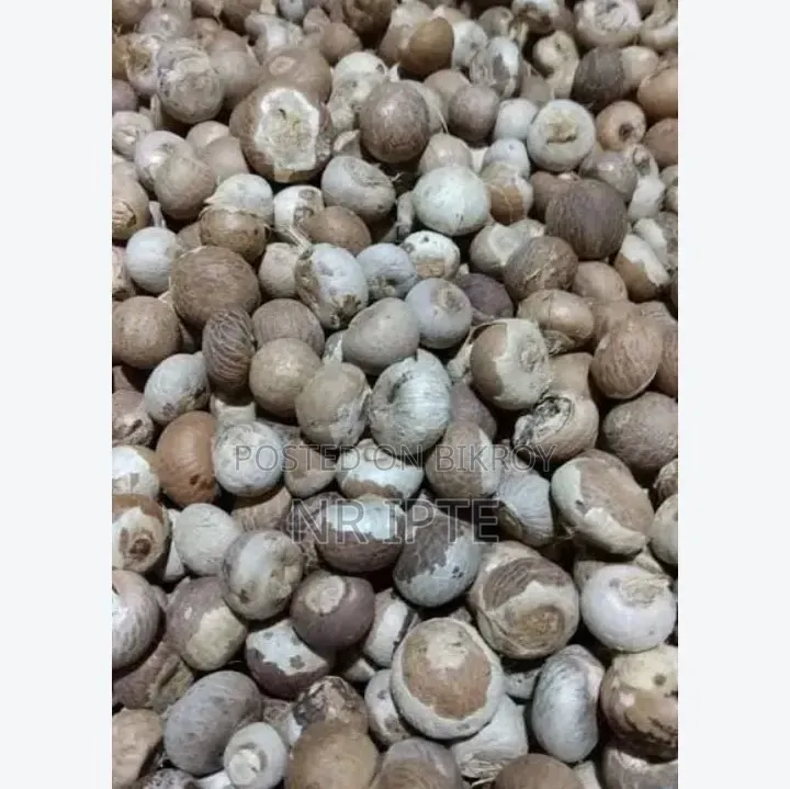 Dry Betel Nut for Sale
