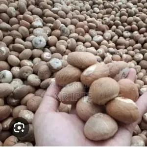 Dry Betel Nut for Sale