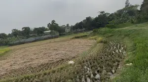 ৩৮ কাঠা জমি বিক্রি হবে।