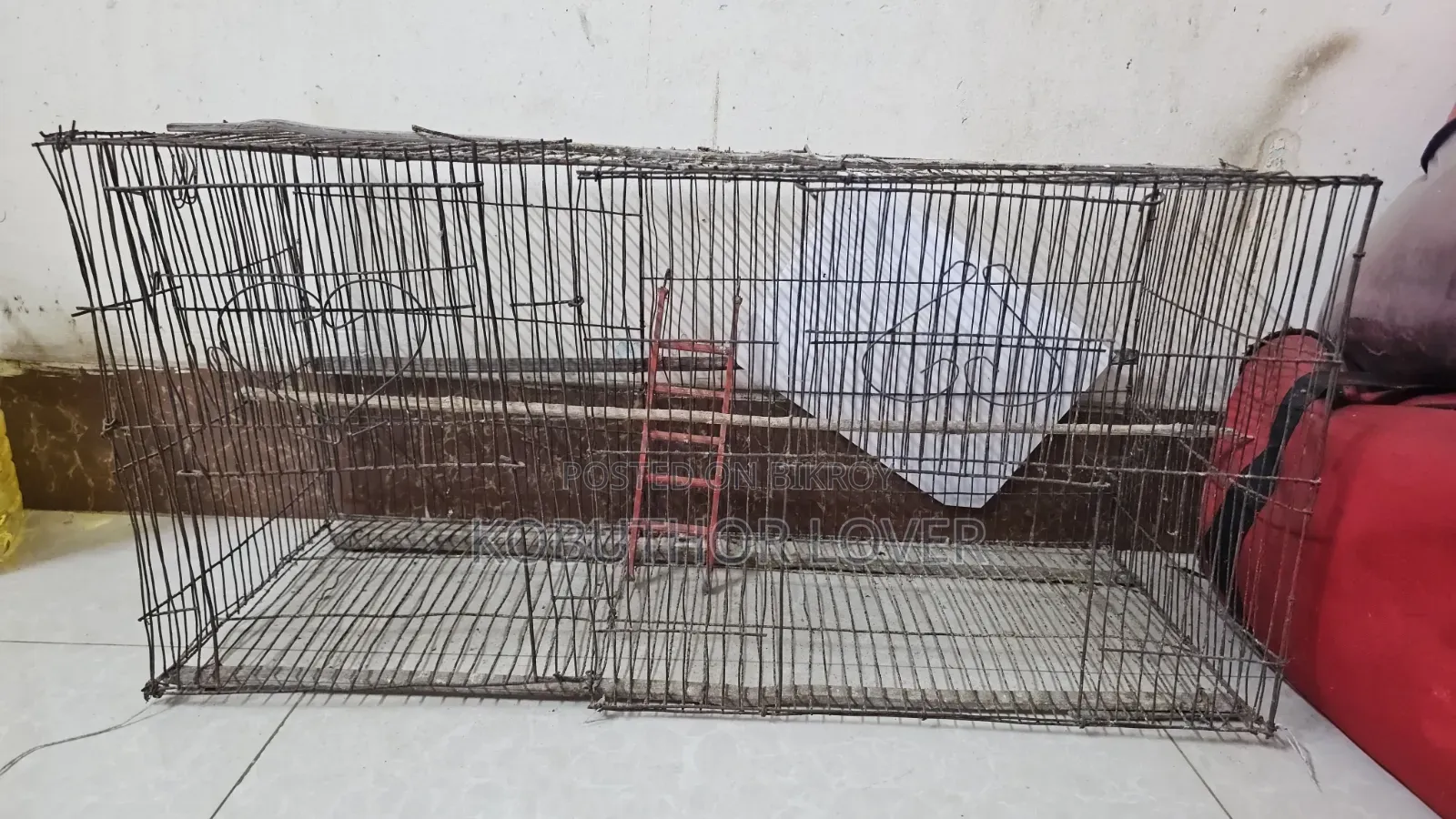 ৪ খোপ ককটেল/কবুতর কাচা + ১ টা বড় কাচা