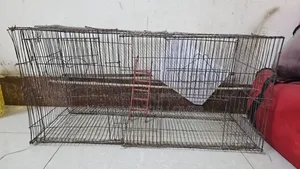 ৪ খোপ ককটেল/কবুতর কাচা + ১ টা বড় কাচা