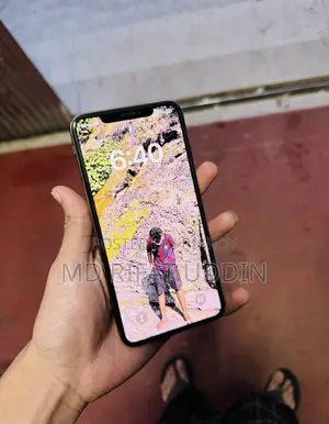 অ্যাপল আইফোন এক্সএস ম্যাক্স ২৫৬ জিবি গোল্ড