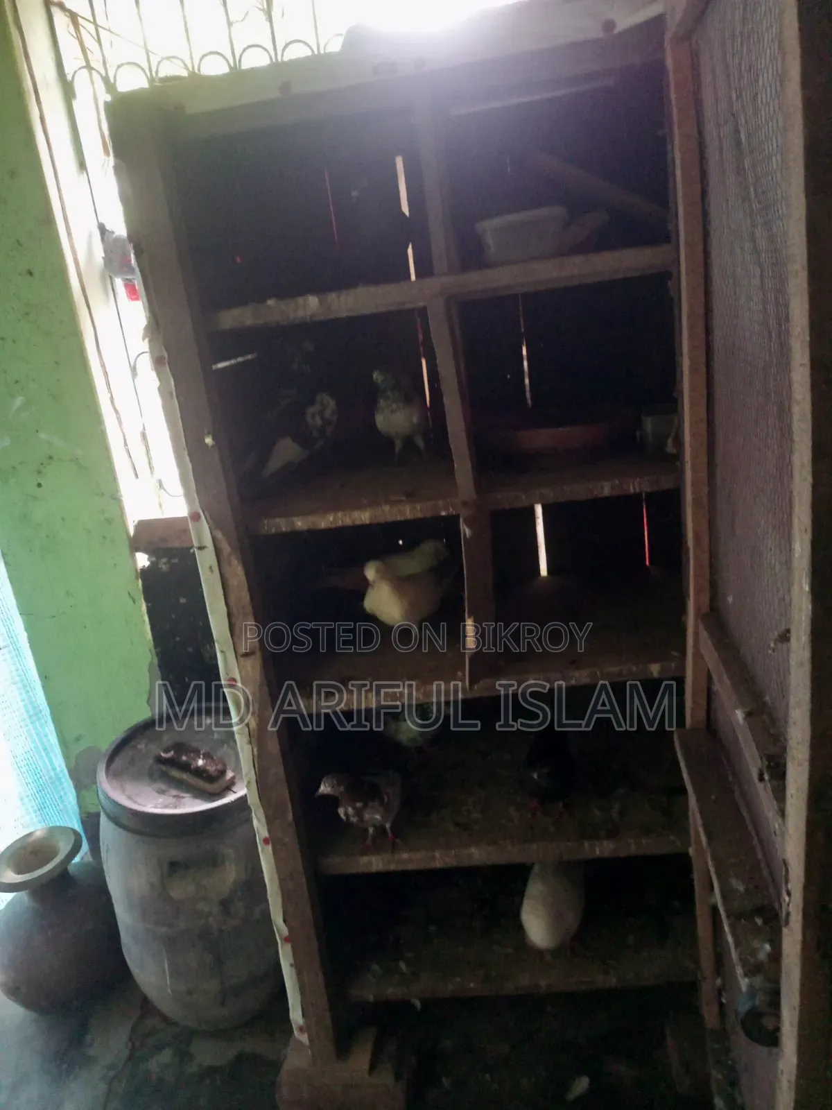 কবুতরের খোপ