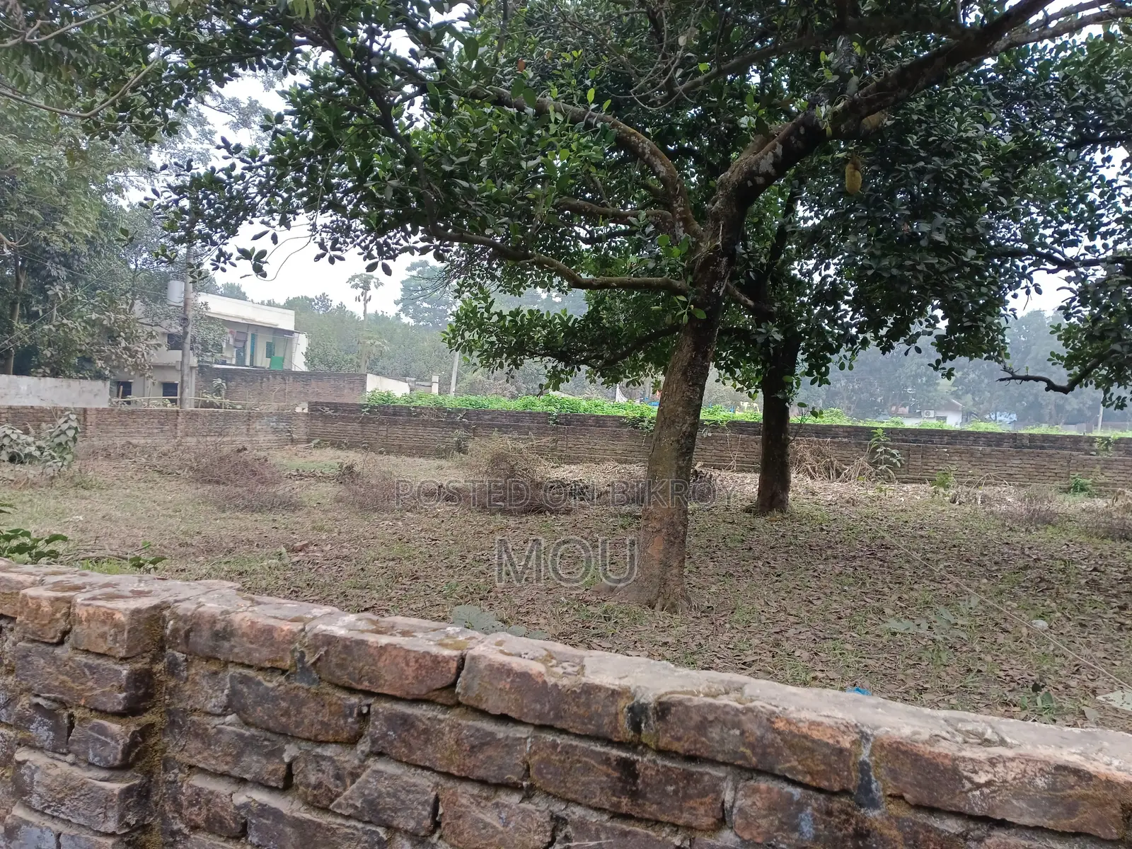 সাভার, আক্রন বাজার , ১৪ শতক দক্ষিণমুখী কর্নার প্লট বিক্রয়