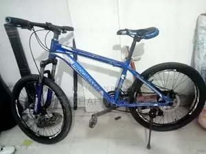 24 Inch Cycle
