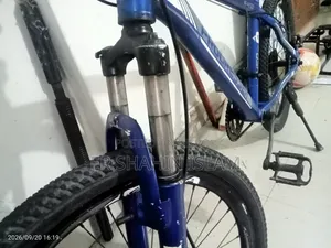 24 Inch Cycle