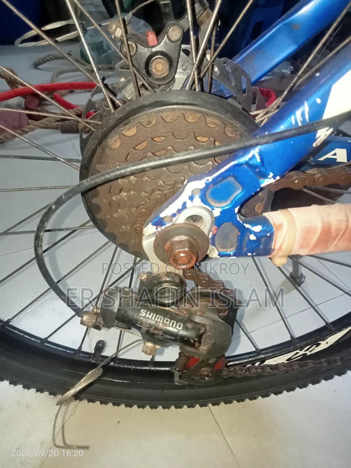 24 Inch Cycle