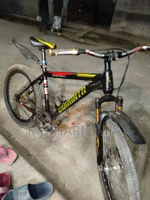 Bicycle Size 24