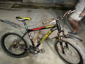 Bicycle Size 24