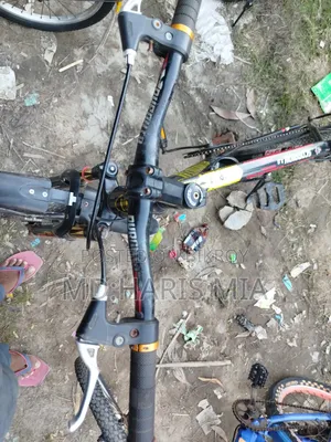 Bicycle Size 24