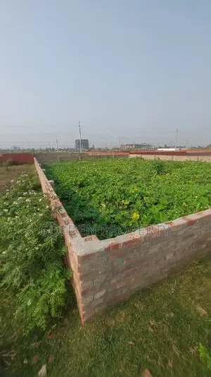 Bashundhara Plot Sale N Block 5 Katha