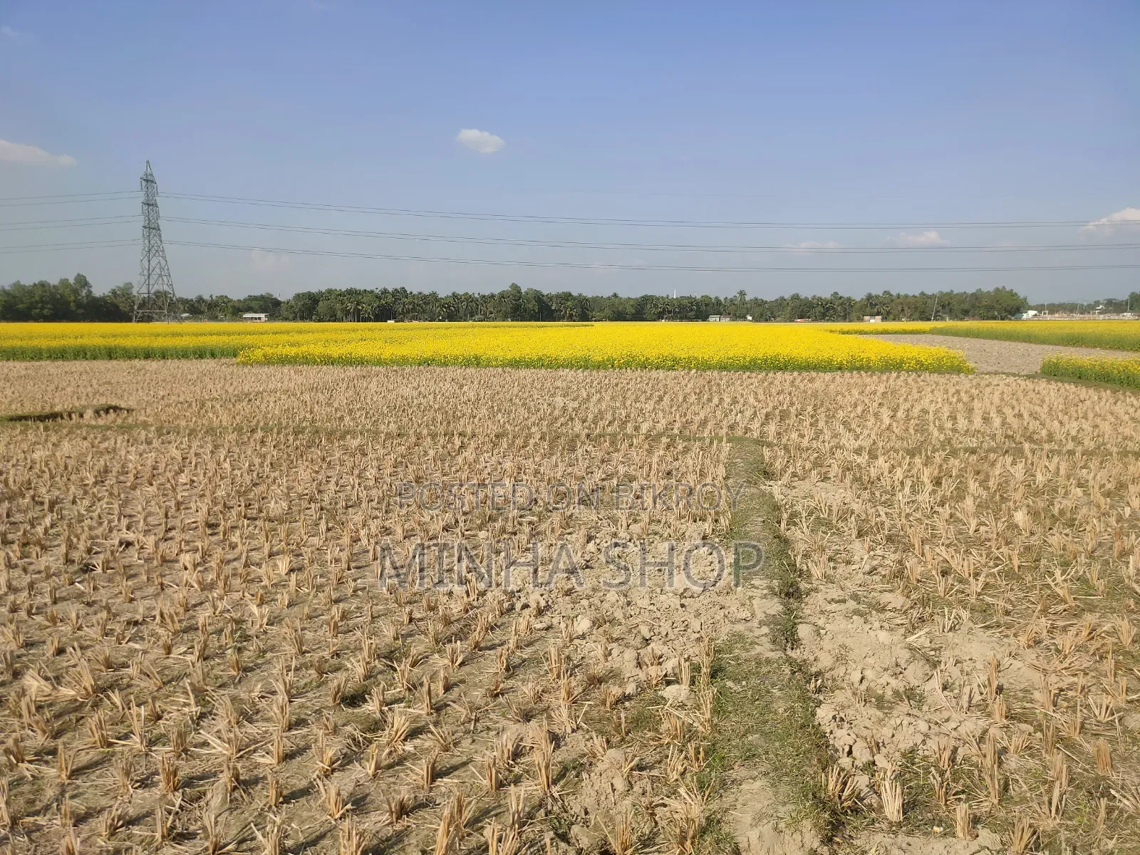 ৩৯ শতক আবাদি জমি বিক্রি হবে।