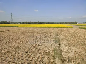 ৩৯ শতক আবাদি জমি বিক্রি হবে।