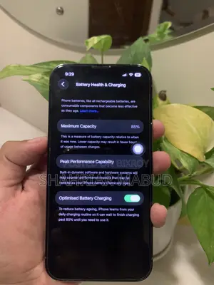 Apple iPhone 13 Pro 256 GB Blue