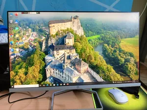 HP Monitor M22f