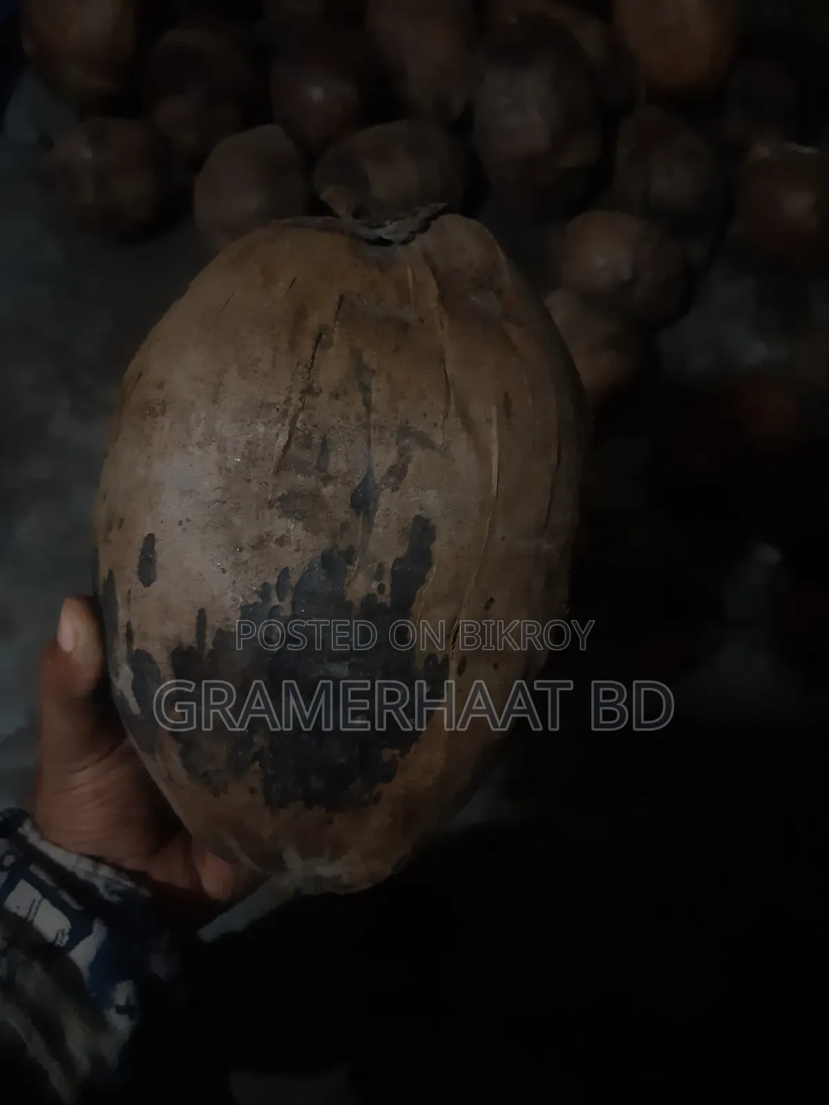 Coconuts for sale