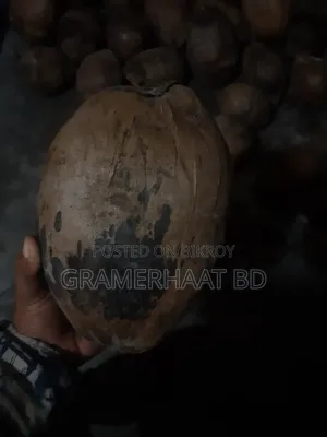 Coconuts for sale