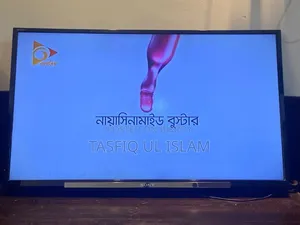 Used Sony Brand TV at a Low Price