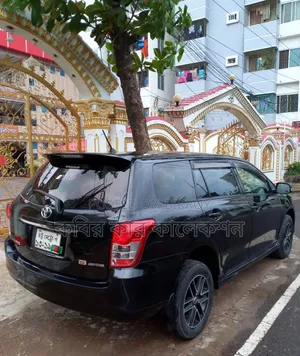 Toyota Corolla Fielder 2010 Black
