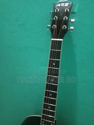 গিটার ফুল ফ্রেশ