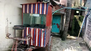 Food Cart Vehicle