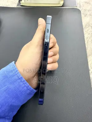 অ্যাপল আইফোন ১২ প্রো ২৫৬ জিবি ব্লু