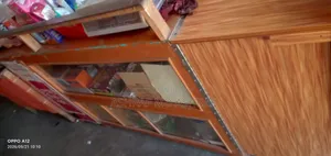 Shop Racks and Bench