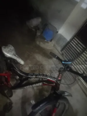 26 Inch Cycle