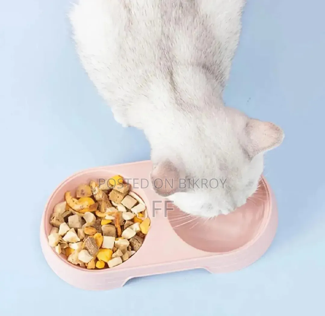 Cat Accessories