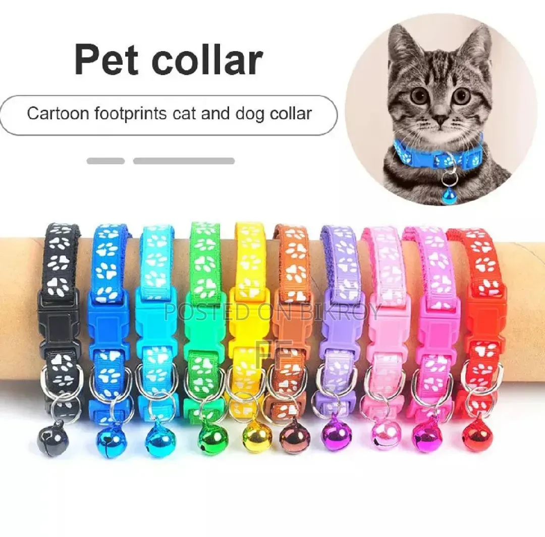 Cat Accessories