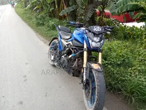 Runner Bolt 165R 2022 Blue