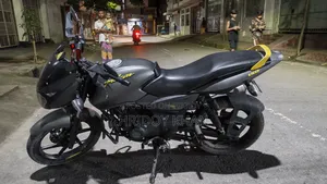 Bajaj Pulsar 150 2020 Gray