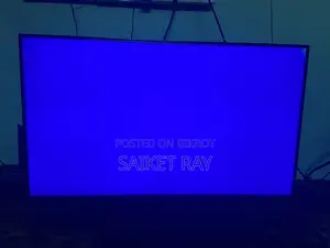 SAMSUNG 22 Inch Borderless Monitor