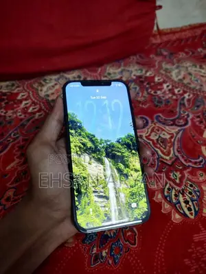 অ্যাপল আইফোন ১২ প্রো ম্যাক্স ২৫৬ জিবি নীল