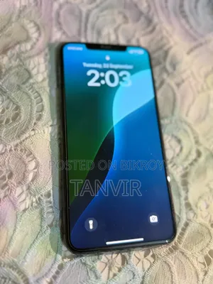অ্যাপল আইফোন এক্সএস ম্যাক্স ২৫৬ জিবি ব্ল্যাক