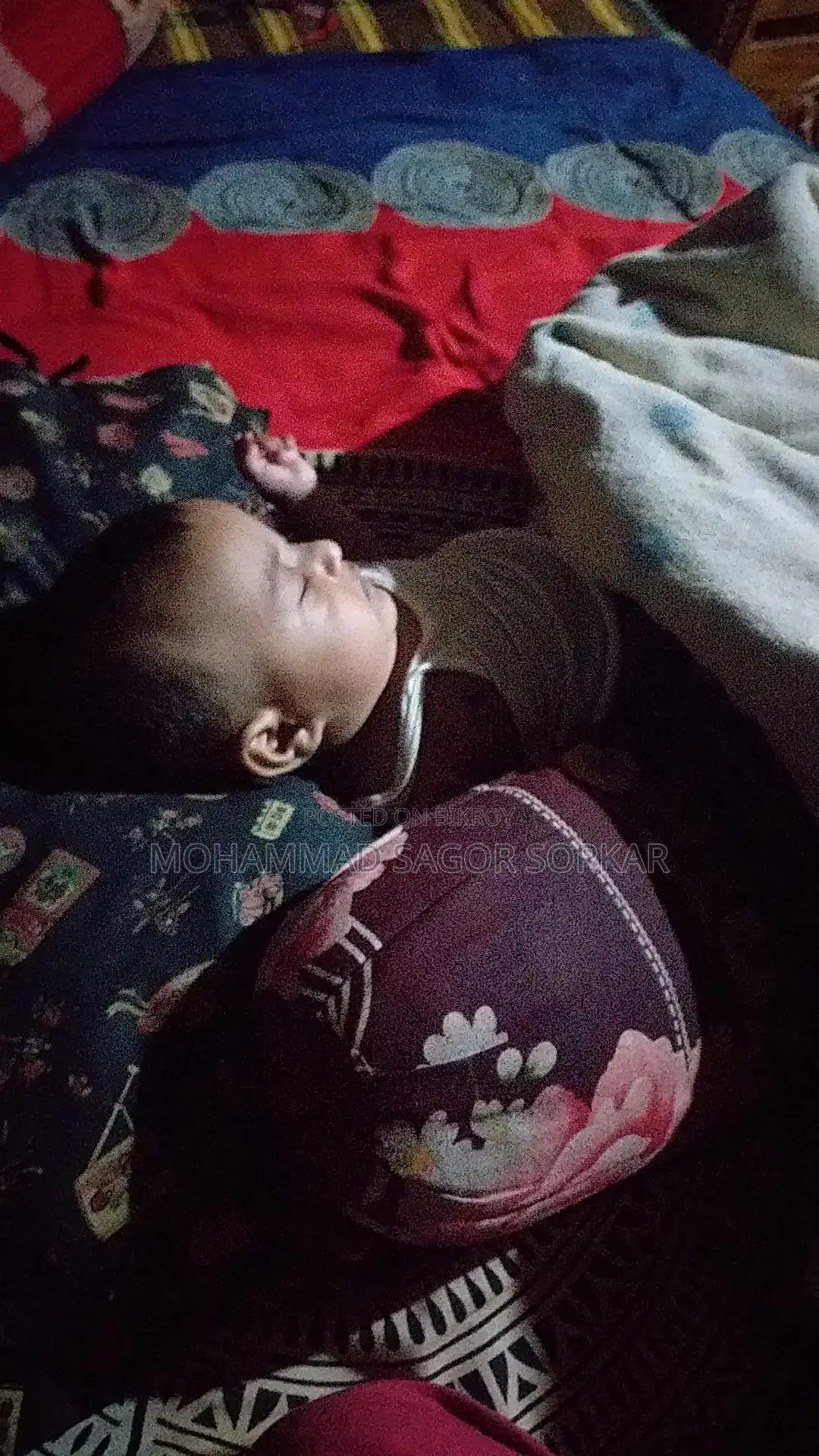 শার্টস শার্টস্লিভ