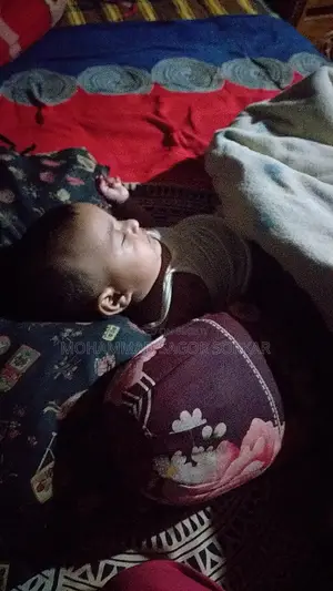 শার্টস শার্টস্লিভ