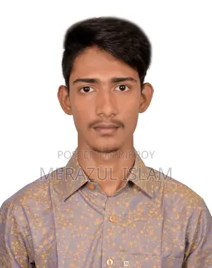 Document Delivery Man