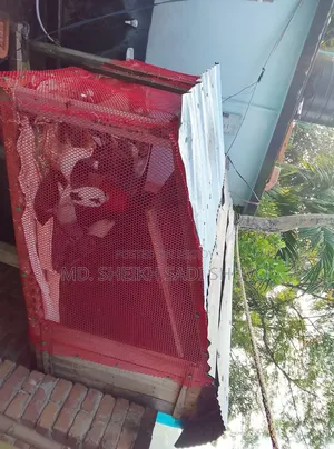 ১২ টি কবুতর ও খোপ সহ বিক্রয় করা হবে ইমারজেন্সি টাকার দরকার