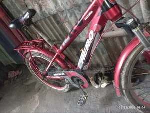 Medium Bicycle