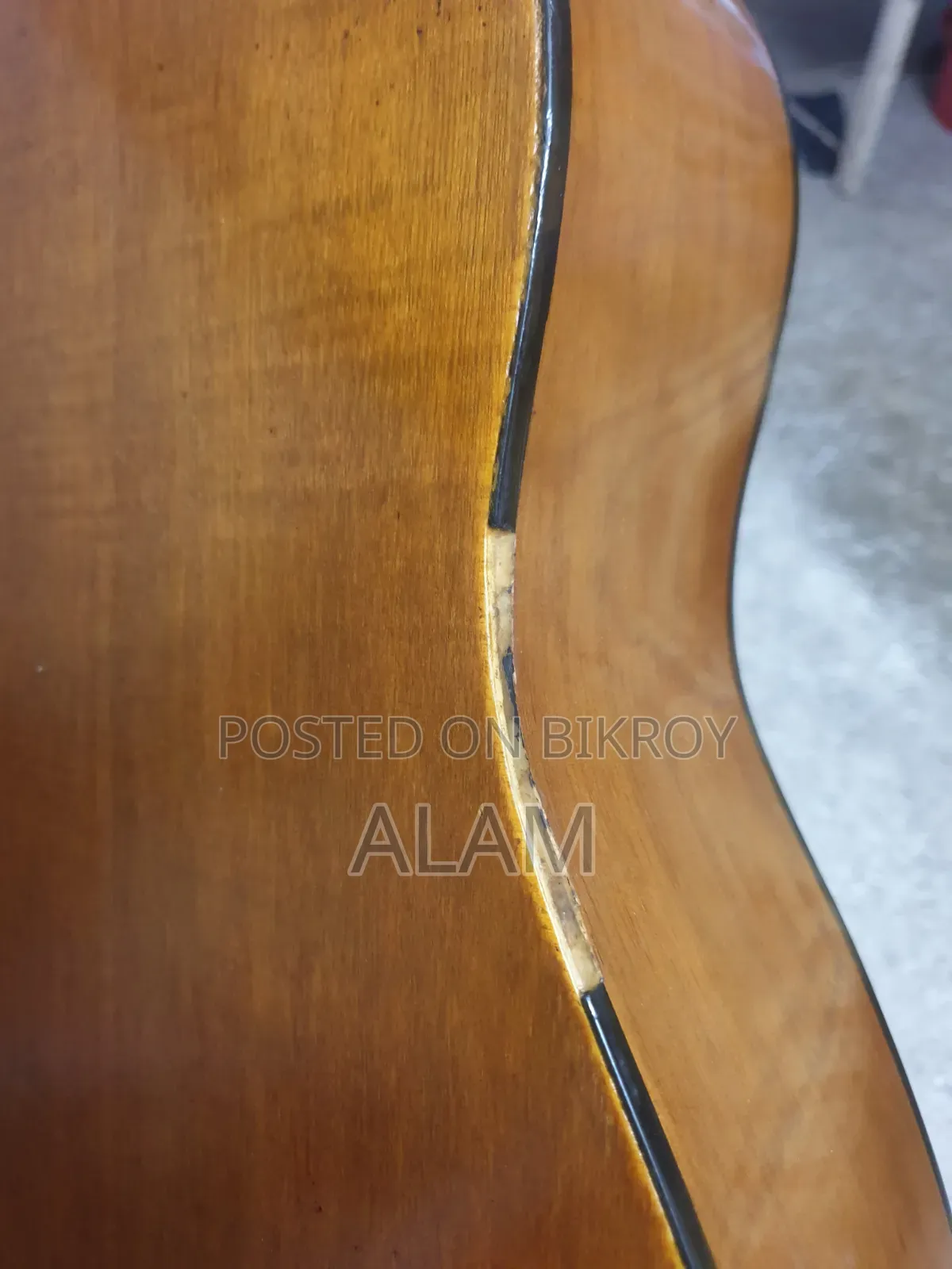 Yamaha F310